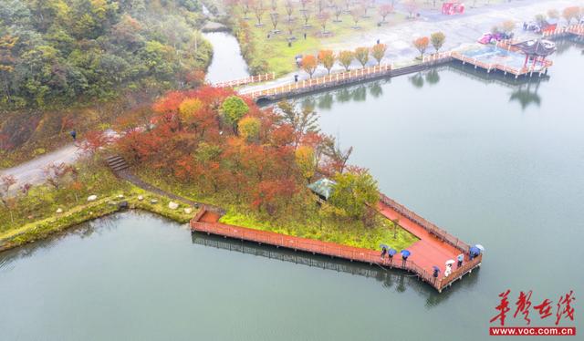 赏秋正当时！湖南登山赏景攻略来了