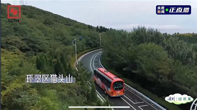 冬游威海 情满山海丨威海又上央视！鞠萍姐姐为啥说太“熨帖”了？