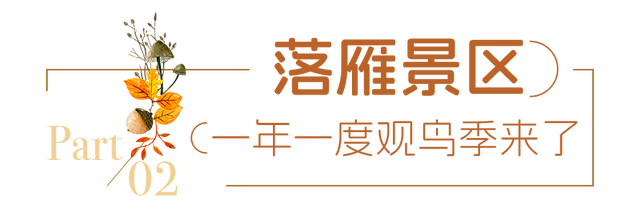 送票｜12月来东湖这样玩，嗨翻了！