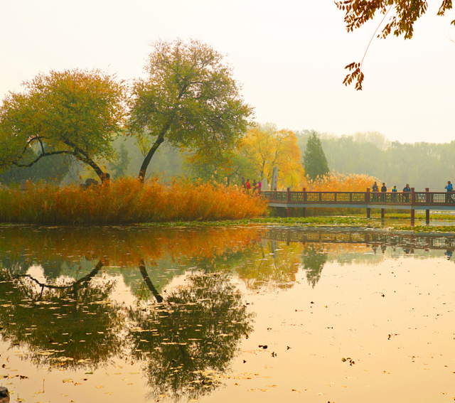 在圆明园看一片颠倒的世界
