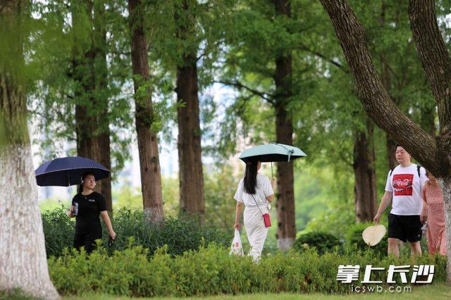 组图｜虽已立秋暑气未散，仍需防暑降温
