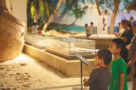 “博”览文化之美图片