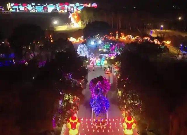 周末就去看！马上过大年，“浙”里灯会年味超浓