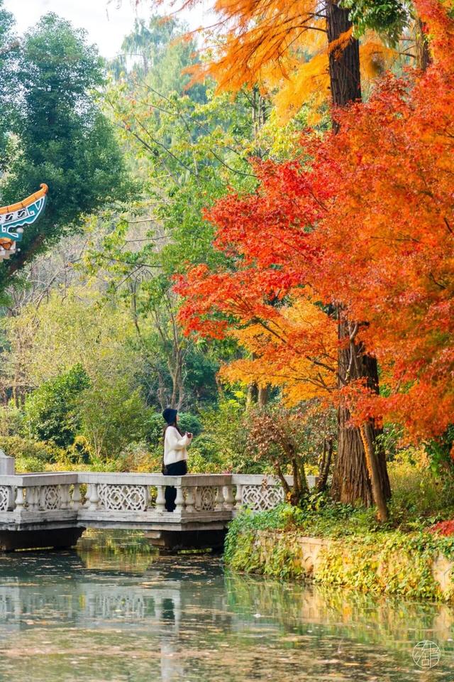 送票｜12月来东湖这样玩，嗨翻了！