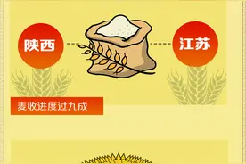 “三夏”进行时 全国冬小麦已收获2.94亿亩图片