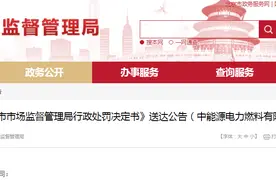 《北京市市场监督管理局行政处罚决定书》送达公告（中能源电力燃料有限公司）图片