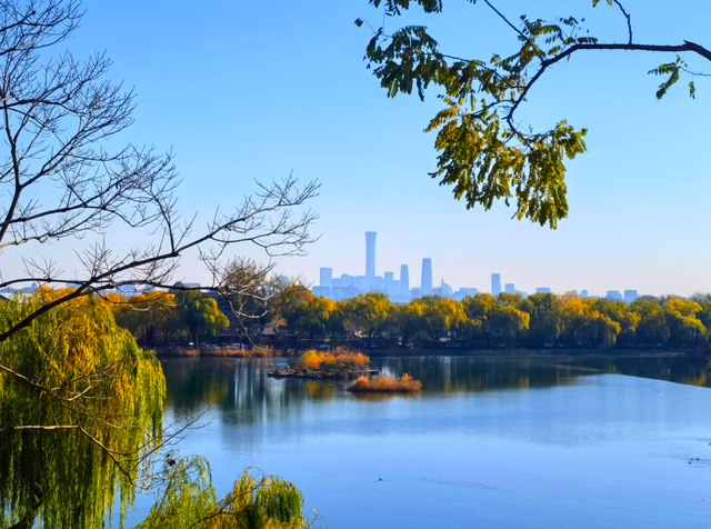 碧水映天，芦苇摇曳，什刹海西海湿地公园风景正好