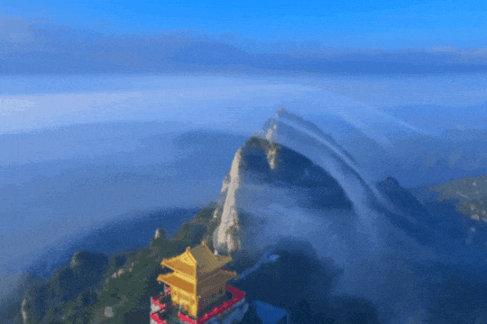 “我想离开浪浪山”，去神都洛阳看一看