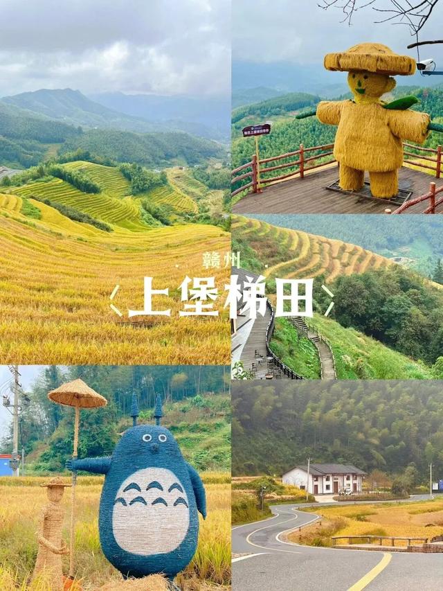 即刻出发！解锁江西梯田的秋日美学！