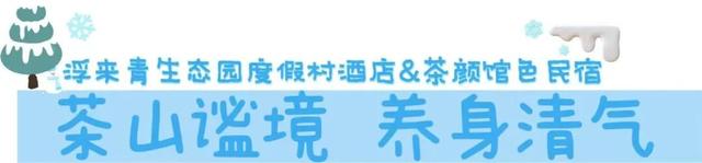 日照温泉上新啦！藏于山海，又美又治愈！
