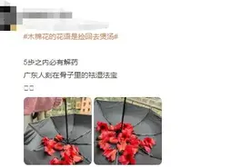 广东阿妈爱的“祛湿法宝”满街都能捡？注意！这些野菜没晒干有毒图片