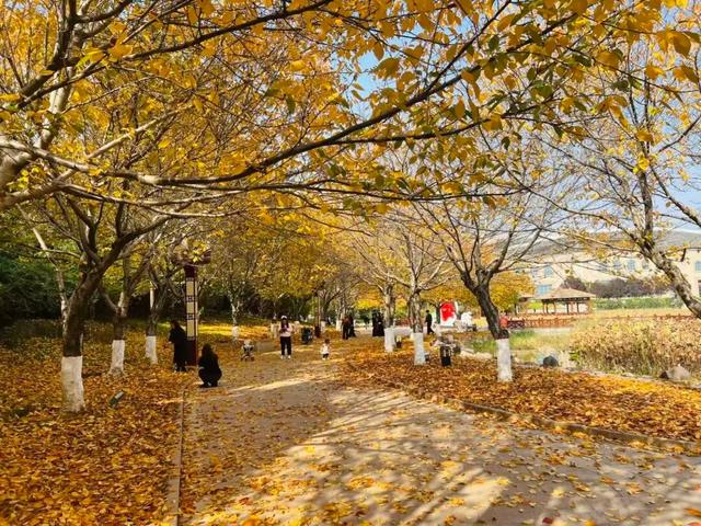 曲沃的冬天不可辜负