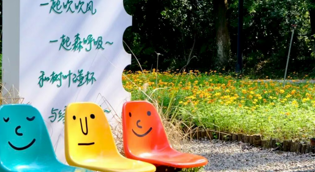 大降温后的秋日大片，来武汉植物园取景！这份小众胶片感机位请收好