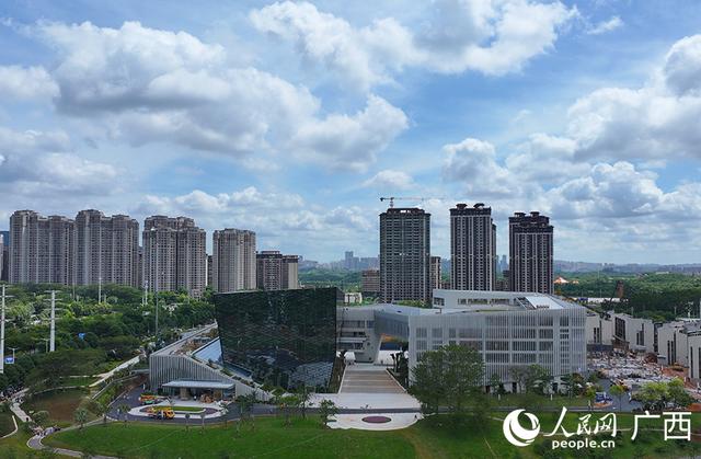 人工智能和新一代信息技术专题对接活动在南宁举行