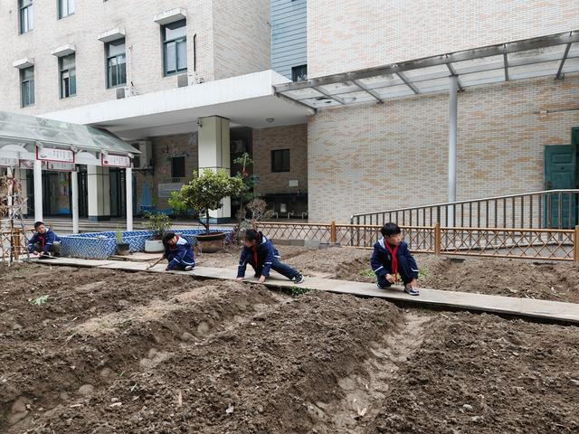 ​植树节 | ​盲盒开出惊喜！植树节校园里仪式感拉满