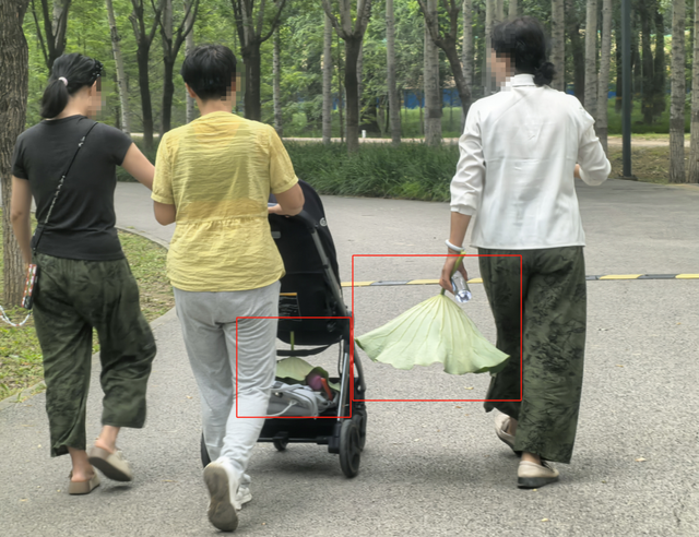 看看！顺义这公园有人公然摘荷花！