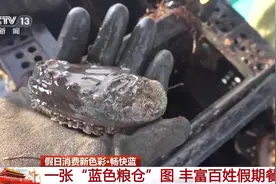 海天一色，蓝色粮仓！假期去大海，体验“蓝”色消费新场景图片