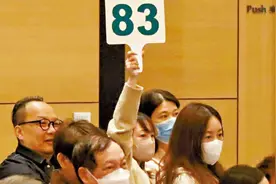 一个“D”字卖2020万元港币！香港新春车牌拍卖再出创纪录天价图片