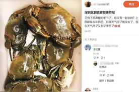 “到红树林抓青蟹”引众人效仿 专家喊话市民和游客 请你来亲海不是去赶海图片