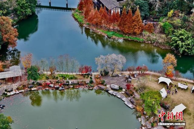 福建福州：乡村美丽冬景引游人