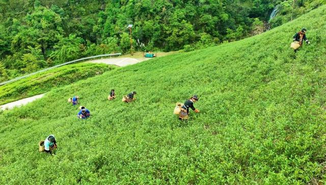 车行云海间，桂林这个地方超适合自驾漫游！