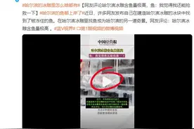 哈尔滨冰雕含鱼量极高：建造冰雕的冰块中找到被冻住的鱼图片