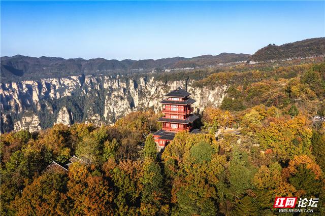 【每日一图@湖南】张家界暖冬限定！天子山暖阳沐峰林