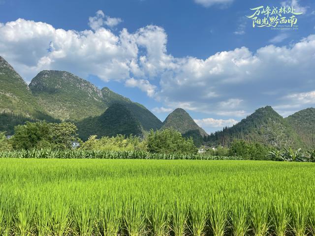 贵州万峰林“开开姐”年卖万斤米，让游客“袋”走万峰林山水