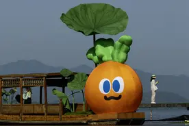 看完五月天演唱会还能半价看旅游演艺，杭州推出演艺大礼包图片