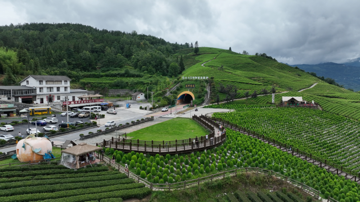 《湖北公路信息速递》| 从“过客点”到“家驿站”，湖北高速服务区变“微度假地”