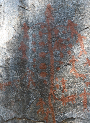 漾濞是“世界核桃起源地”！有五个维度可为证……