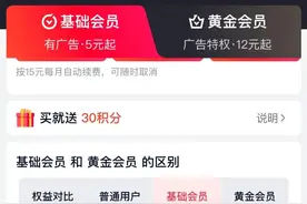 爱奇艺基础会员不能跳片头广告背后：权益规则被指修改变动大图片