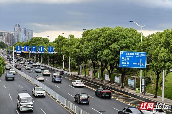 漫步湘江景：城市景观的明暗写意画