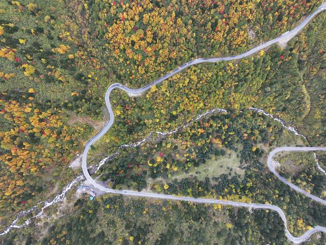 西藏林芝：色季拉山秋色浓