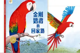 亲悦读|一只绯红金刚鹦鹉讲给孩子们的故事图片