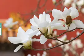 来了！新闻早班车3月18日图片