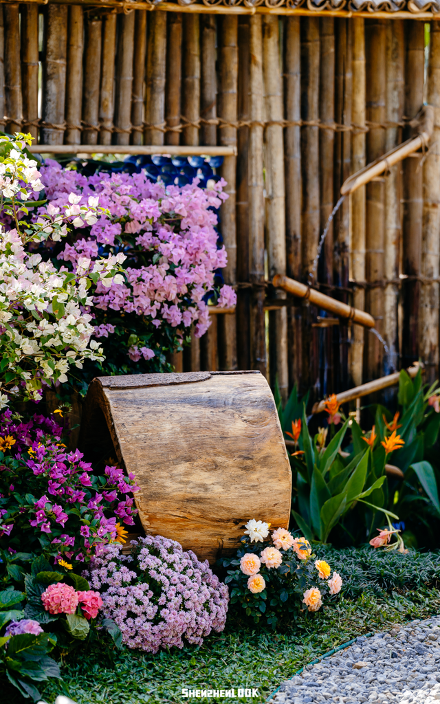 挤爆莲花山！深圳20万m²超大型花展，今天开始