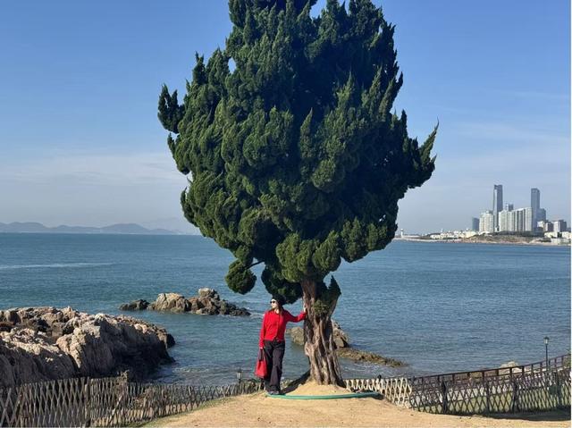 从“网红”到“长红”，流量经济背后的“青岛密码”