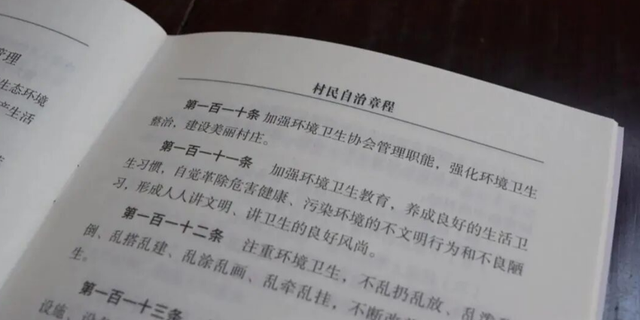 保康尧治河：昔日挖山开矿 今朝保绿生金