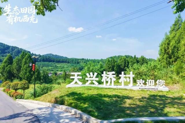 看川超，过双节，西充赏景品鲜两不误！