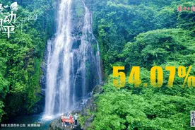 绿绿绿绿绿！恩平，满屏“绿”动图片