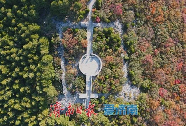 渐入佳境，济南版“鸳鸯火锅”将迎来红叶最美时节