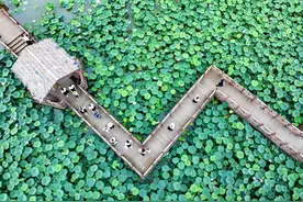 暑期旅游升温图片