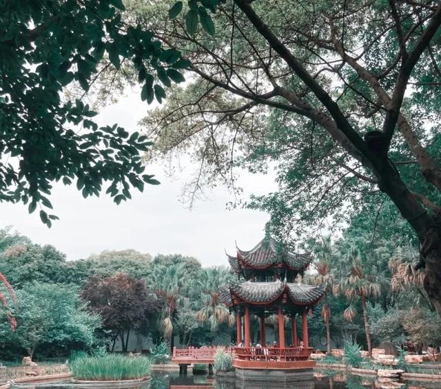 发现·公园城市 | 深呼吸，感受成都湿地魅力