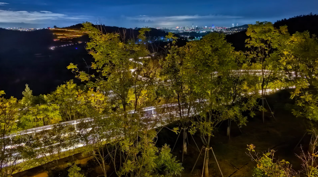 滇池绿道亮灯 点亮温柔夜色