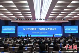 民营企业家走进广西考察交流 共享合作新机遇图片