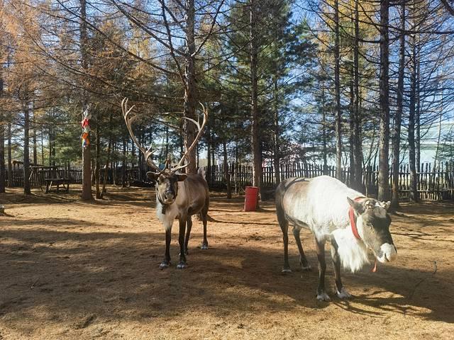 走进延边：长白山天池、延吉、图们、珲春行记