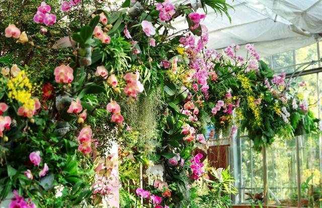 新年开门红！东湖1月嗨玩指南速领