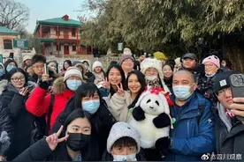 顶流熊猫兄妹碰面！谭爷爷抱着“花花”去看萌兰啦图片