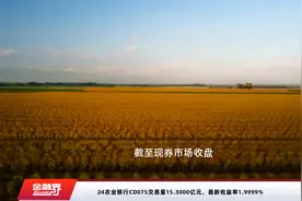 24农业银行CD075交易量15.3000亿元，最新收益率1.9999%视频封面